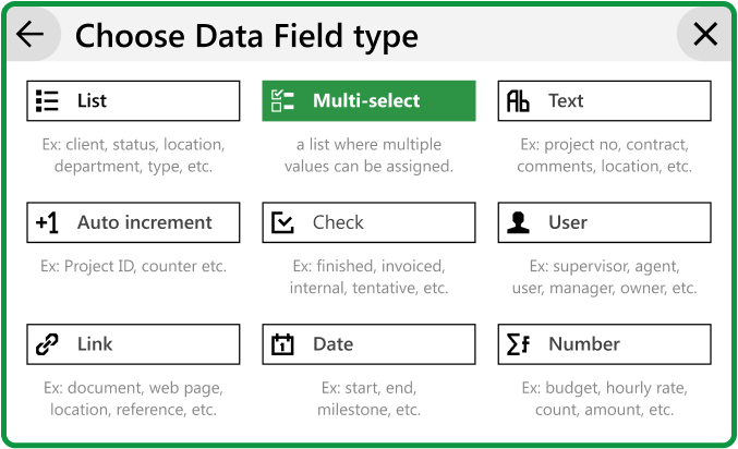 Different types of data fields that are available in Ganttic for resource and project scheduling. 